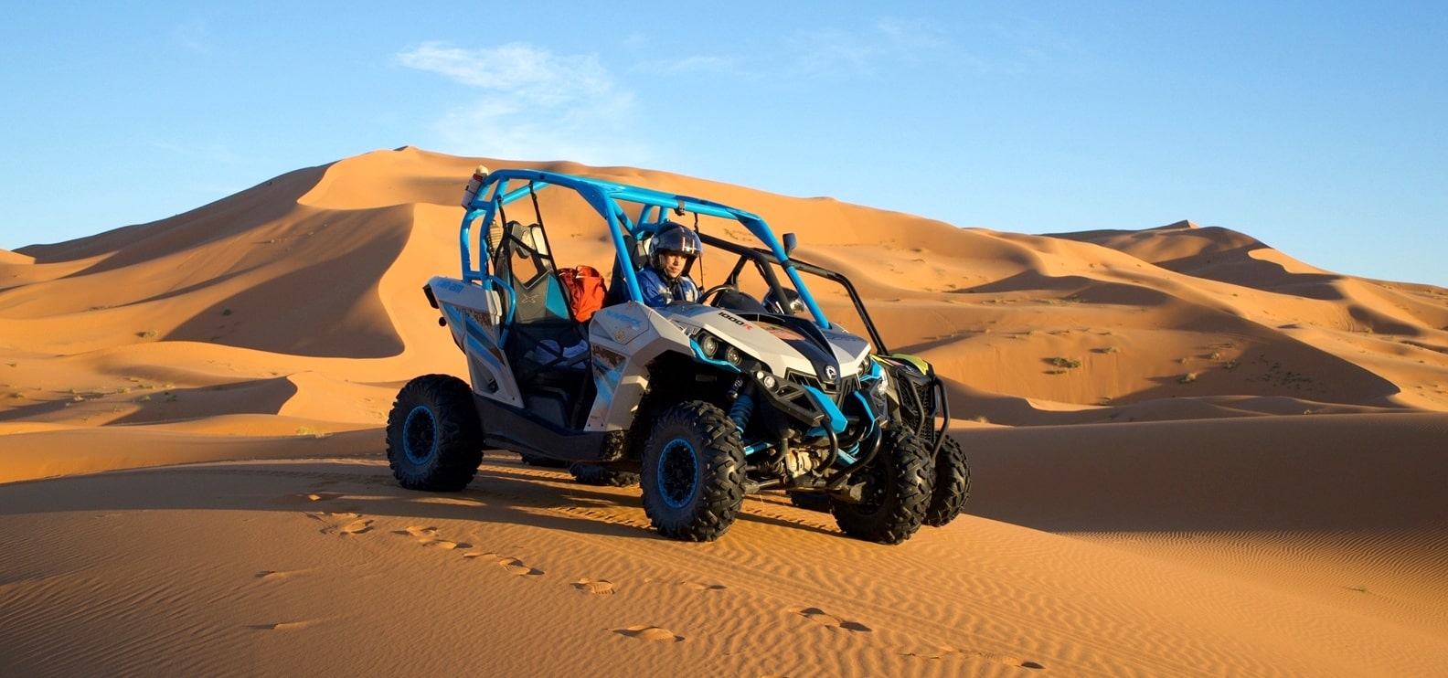Buggy