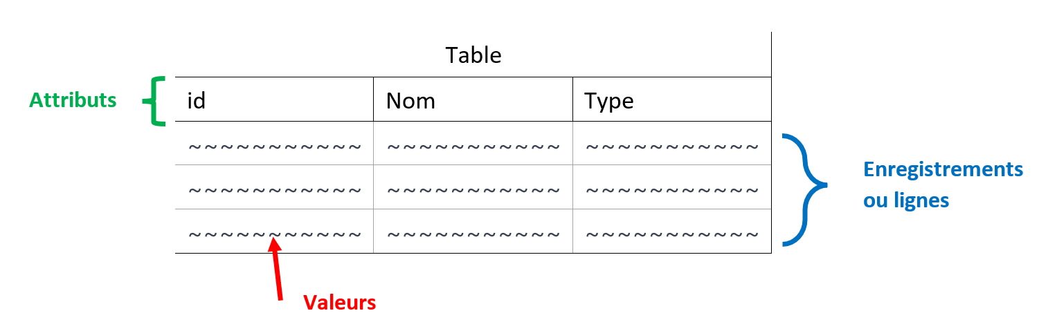 bases de données