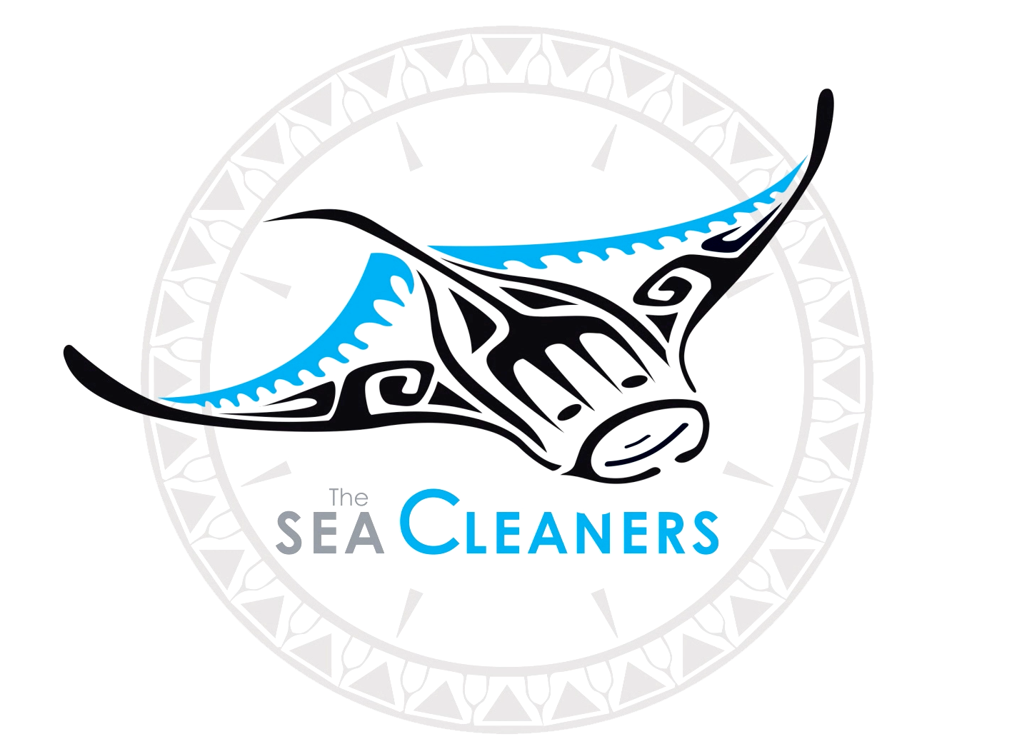 logo SeaCleaner