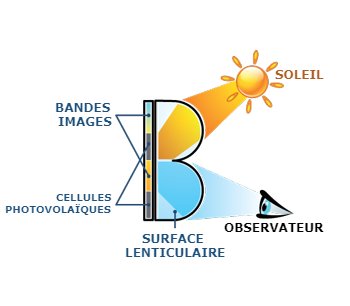 schema