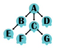 Image d'un arbre